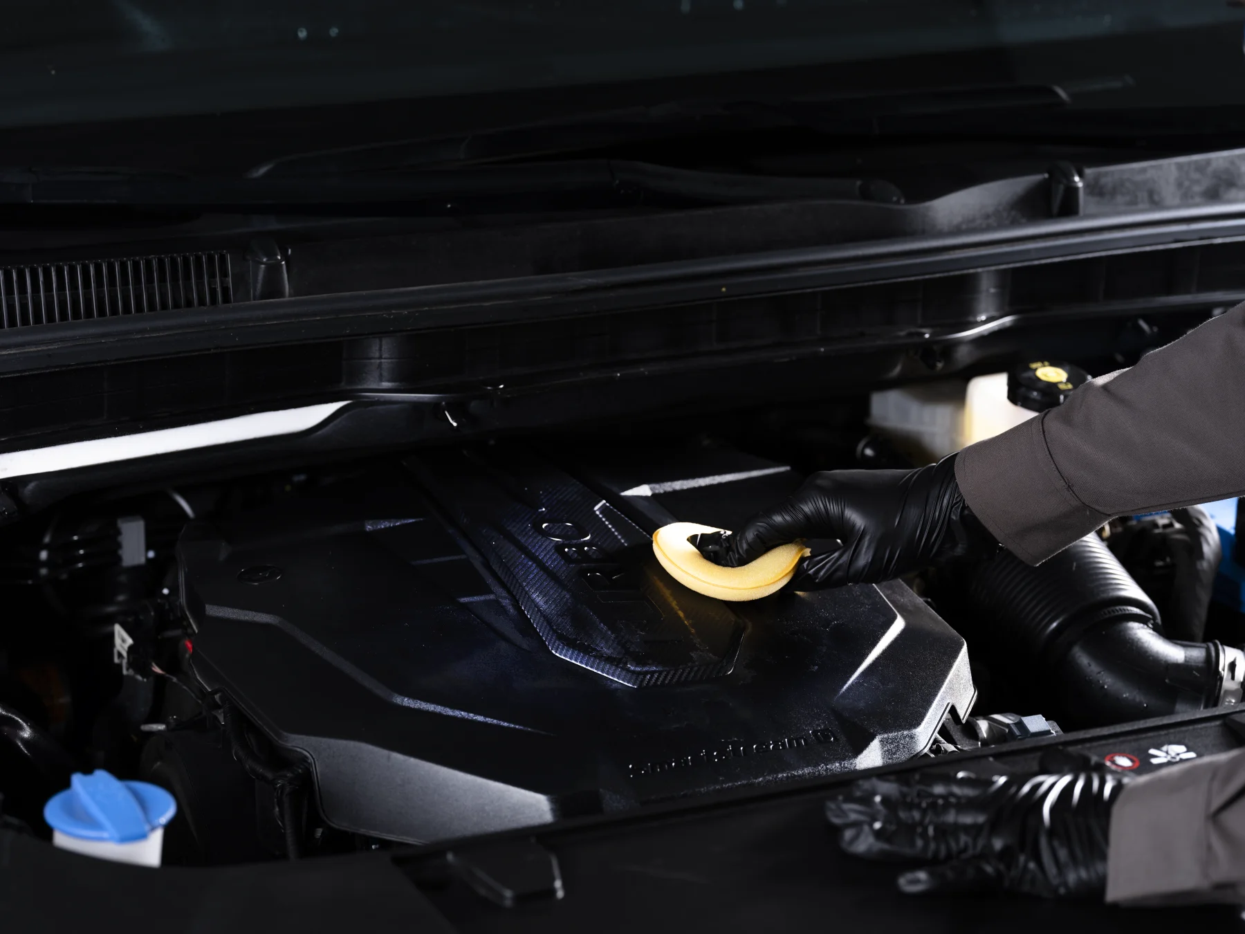 20230413_DVPT_KIA00126 copy.webp