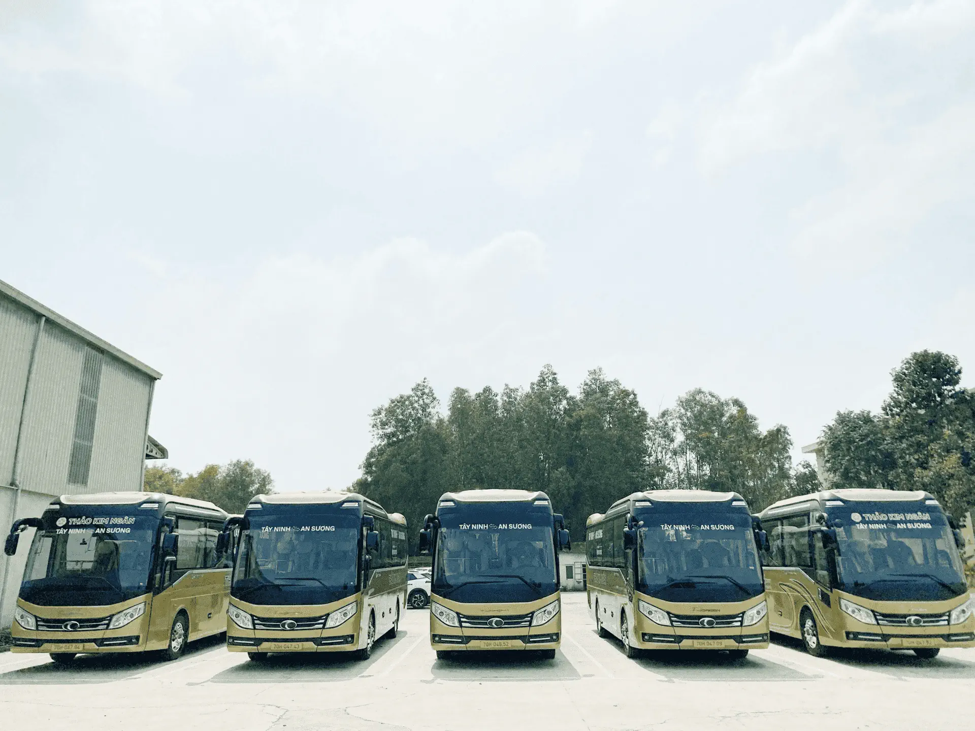 Tải - Bus Tây Ninh